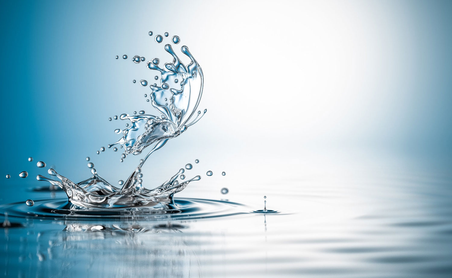 imagen fondo cultivo Scrach demetra group