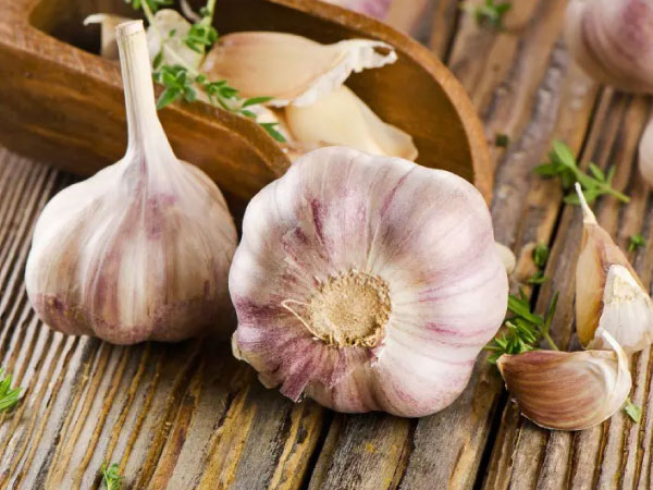 Ajo