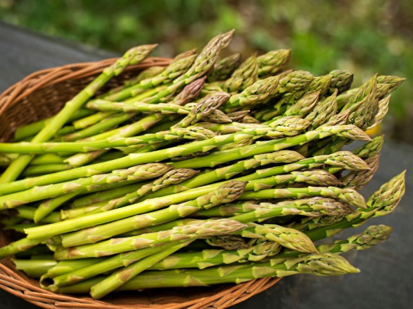 Esparrago