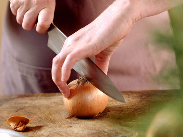 Cebolla
