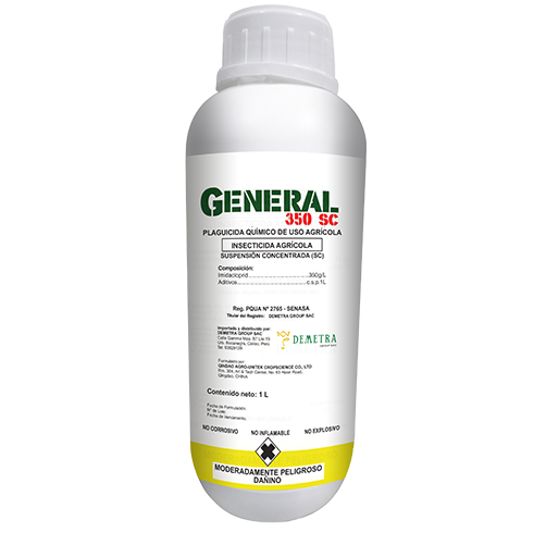 General - Demetra Group